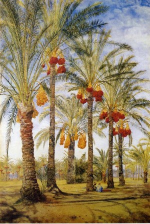 A street with dates trees